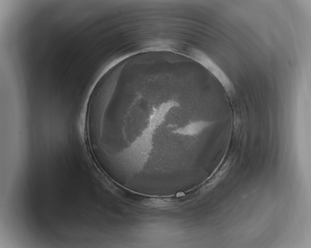 X0000102411052200808081320