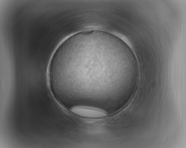 X0000102411056200808081320