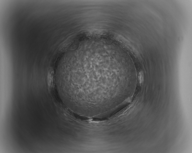 X0000102411059200808081320