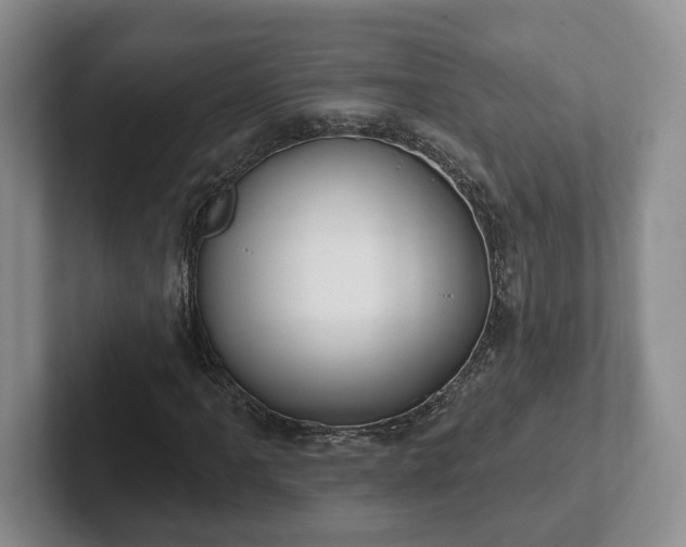 X0000102411061200808081320