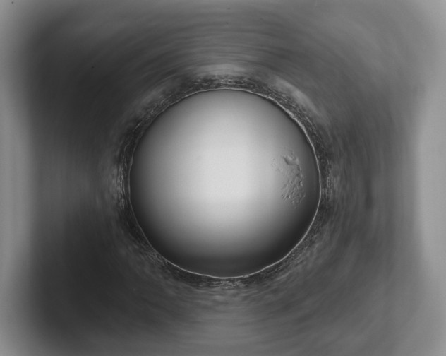 X0000102411062200808081320