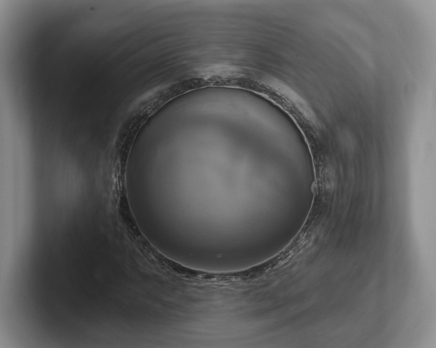 X0000102411063200808081320