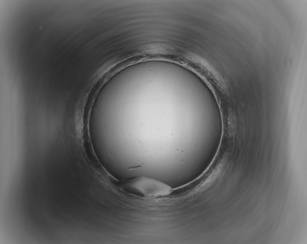 X0000102411065200808081320