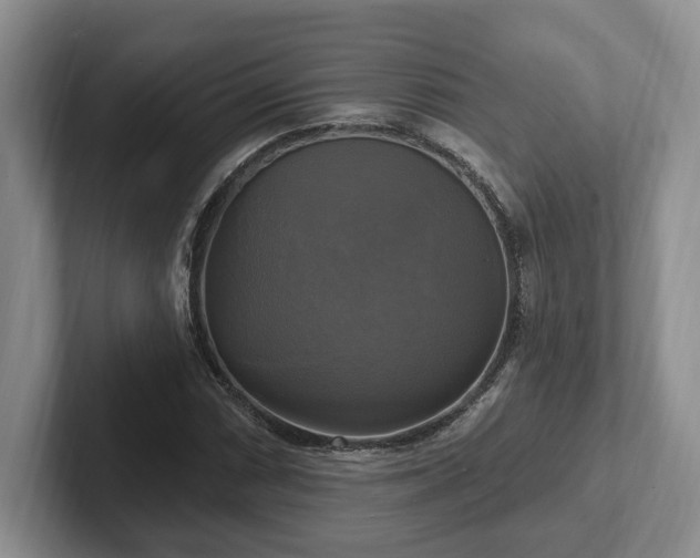 X0000102411066200808081320