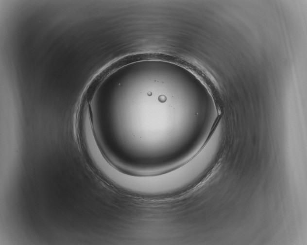 X0000102411069200808081320