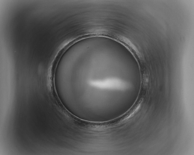 X0000102411071200808081320