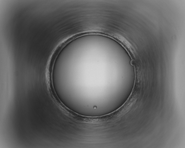 X0000102411072200808081320