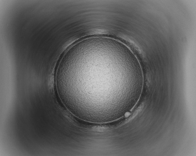 X0000102411073200808081320