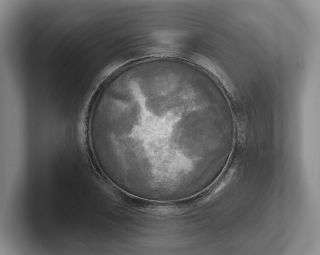 X0000102411074200808081320