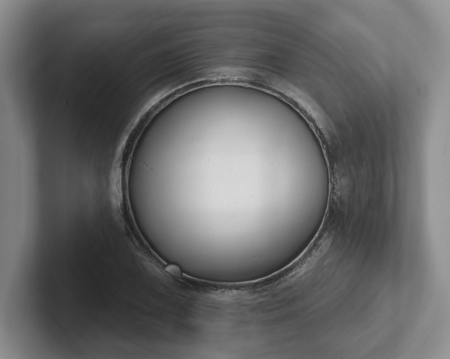 X0000102411075200808081320