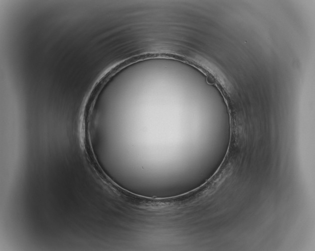 X0000102411076200808081320