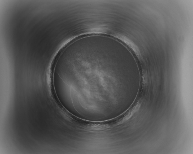 X0000102411077200808081320