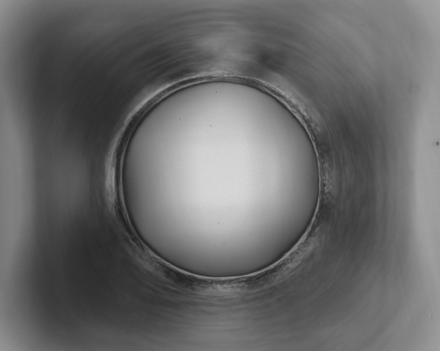 X0000102411078200808081320