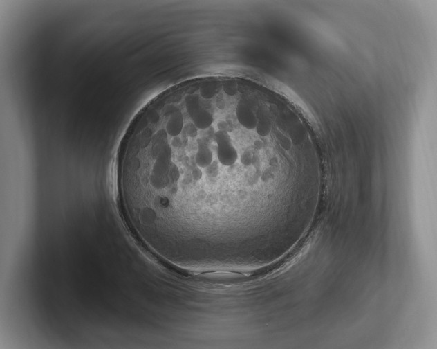 X0000102411079200808081320