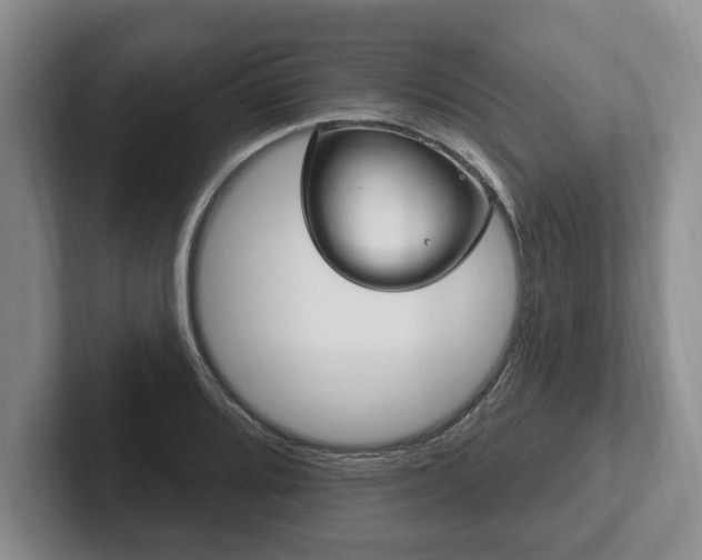 X0000102411080200808081320