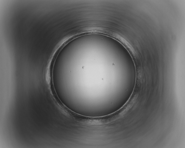 X0000102411082200808081320