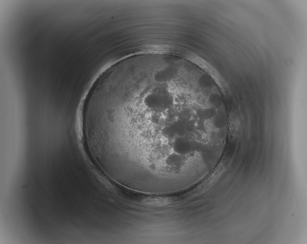 X0000102411083200808081320