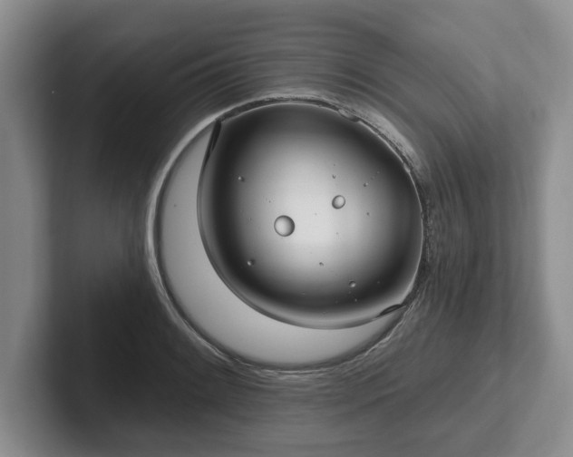 X0000102411084200808081320