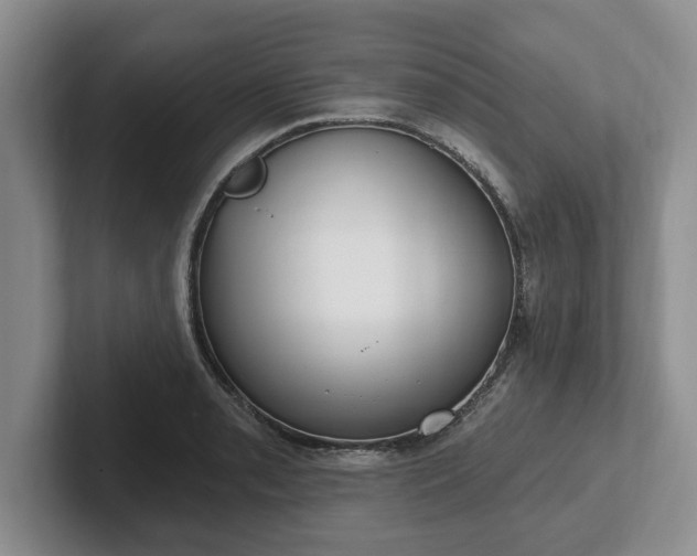 X0000102411085200808081320