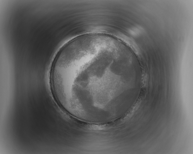 X0000102411086200808081319