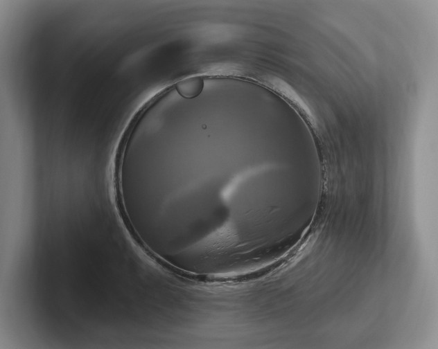 X0000102411087200808081319