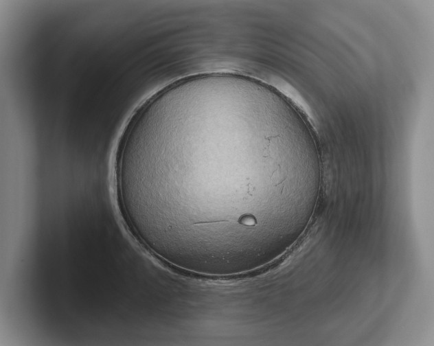 X0000102411088200808081319