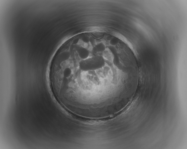 X0000102411091200808081319