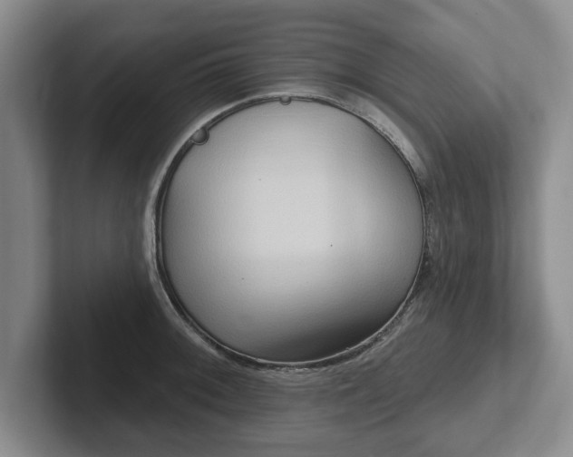 X0000102411092200808081319