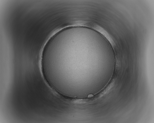 X0000102411093200808081319