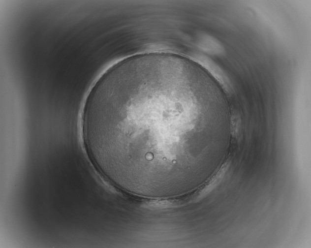 X0000102411094200808081319