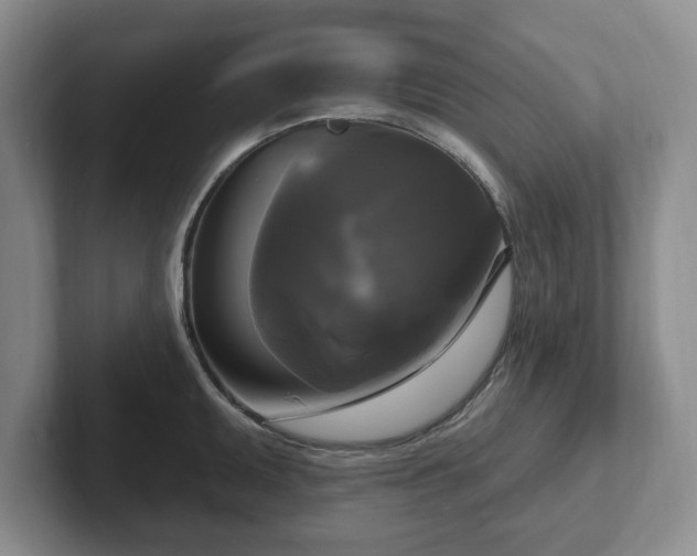 X0000102411095200808081319