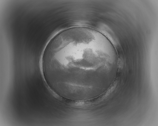 X0000102411098200808081319