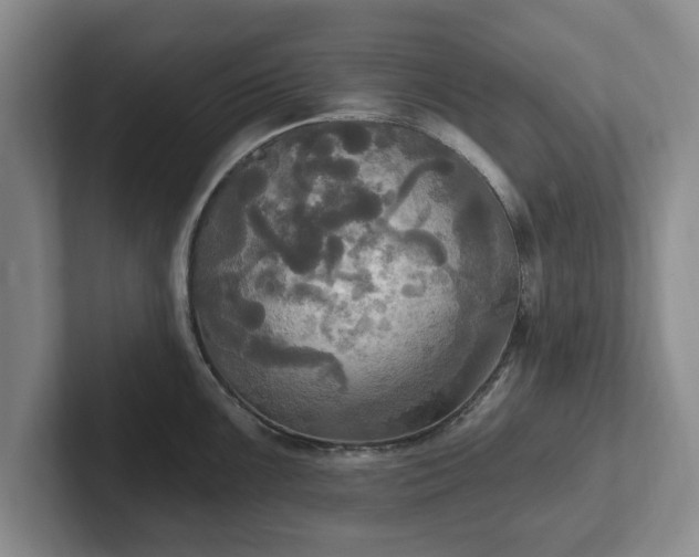 X0000102411099200808081319