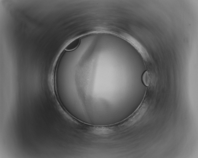 X0000102411100200808081319