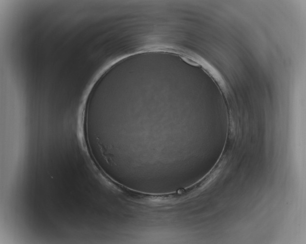 X0000102411102200808081319