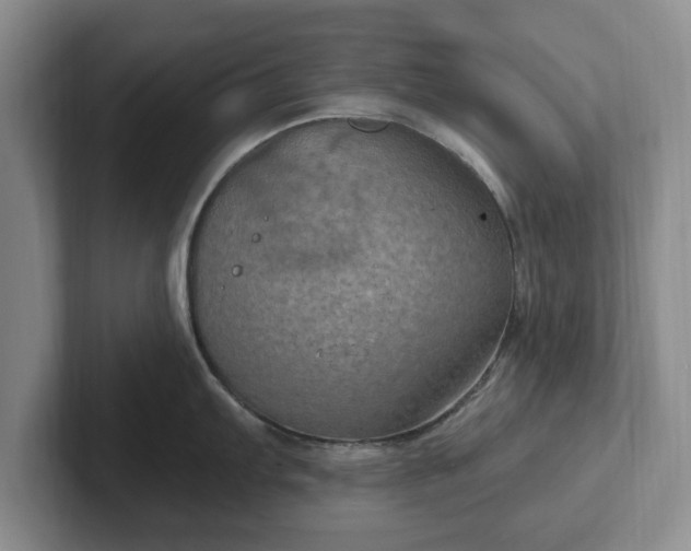 X0000102411103200808081319