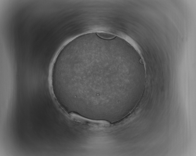 X0000102411104200808081319