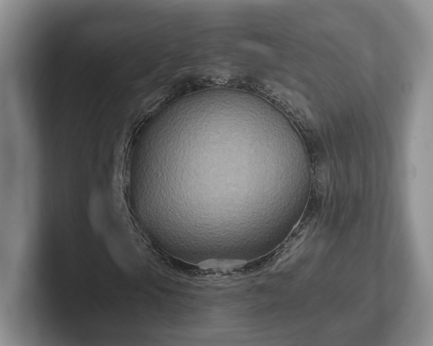 X0000102411105200808081319