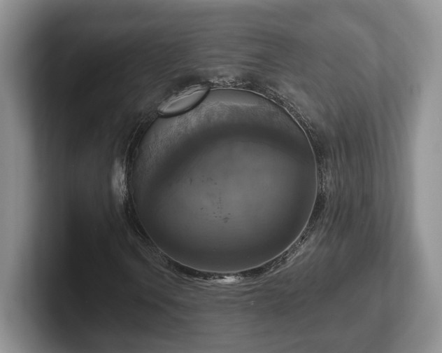 X0000102411106200808081319