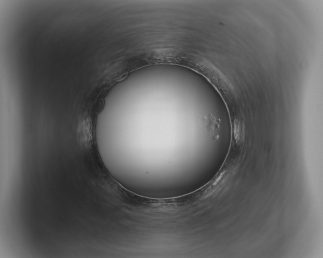 X0000102411107200808081319