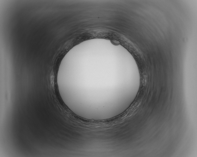 X0000102411108200808081319