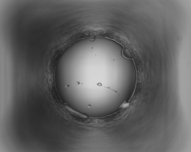 X0000102411109200808081319