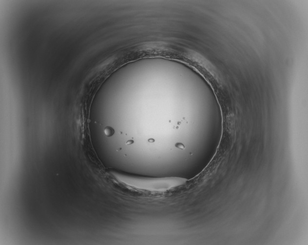 X0000102411111200808081319