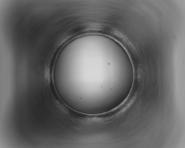 X0000102411113200808081319