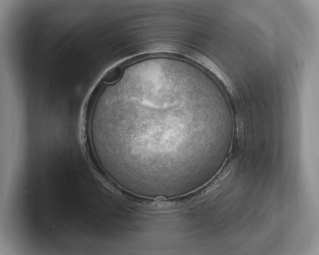 X0000102411116200808081319