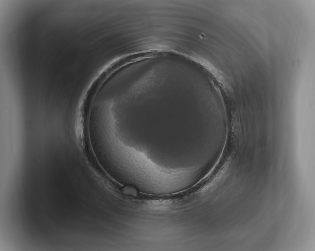 X0000102411118200808081319