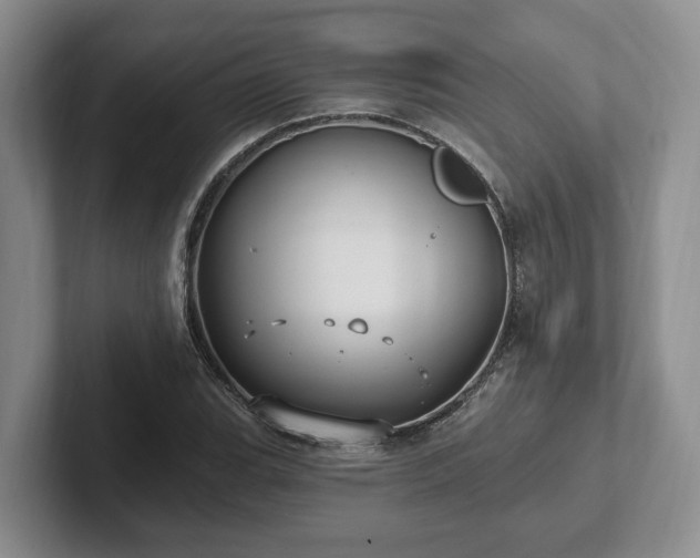 X0000102411119200808081319