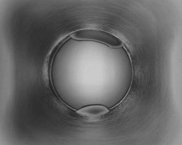 X0000102411120200808081319