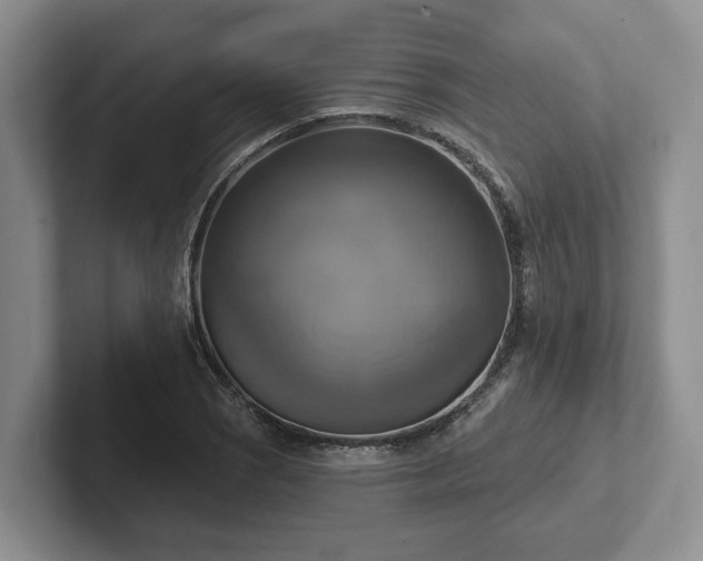 X0000102411121200808081319