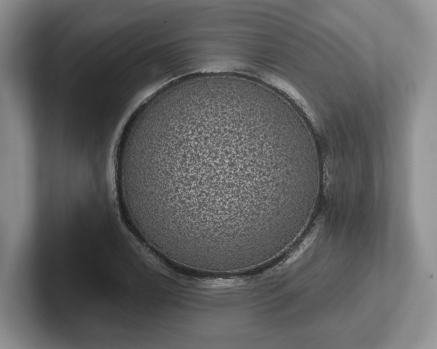 X0000102411122200808081319